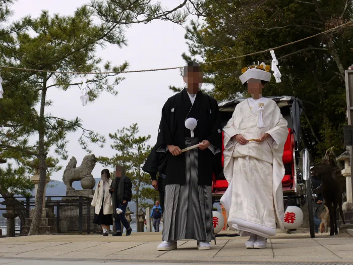 前撮り　厳島神社
